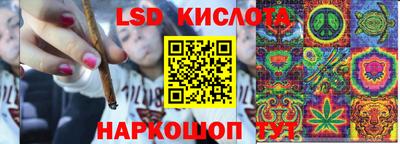 спиды Обь