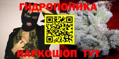 спиды Обь